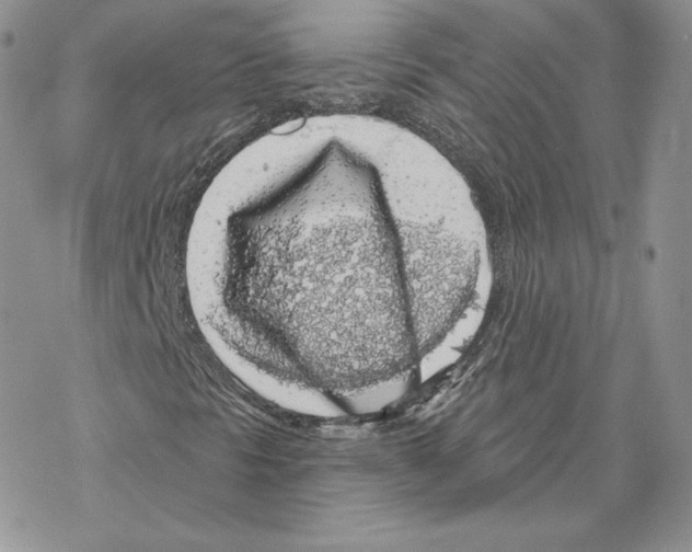 X0000069361297200606091551