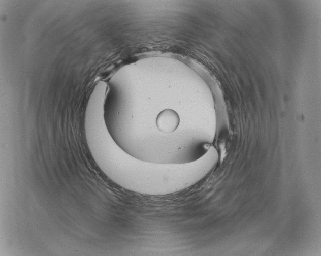 X0000069361298200606091551