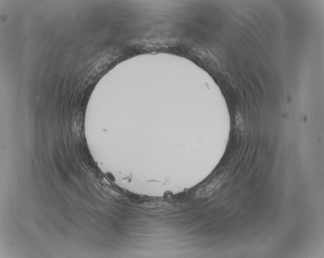 X0000069361300200606091551