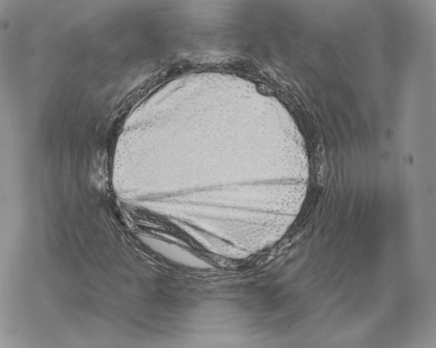 X0000069361301200606091551