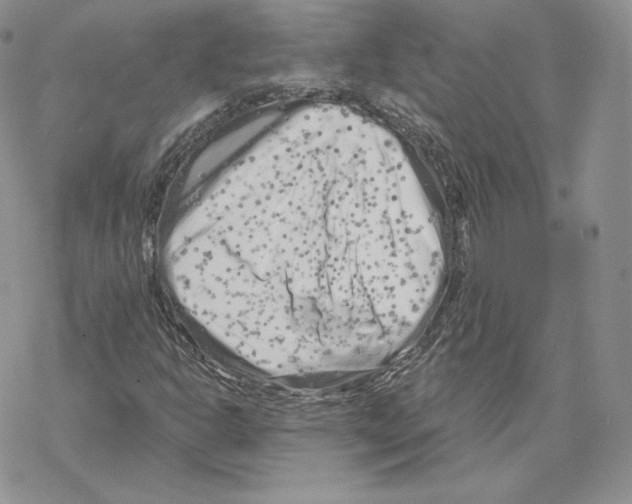 X0000069361302200606091551