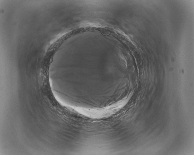 X0000069361303200606091551