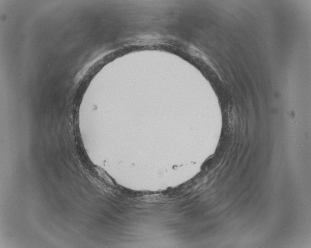 X0000069361304200606091551