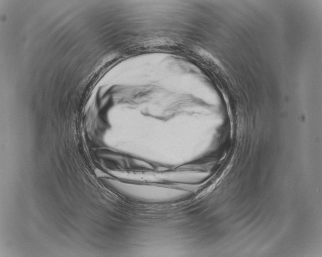 X0000069361305200606091551