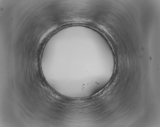 X0000069361307200606091551