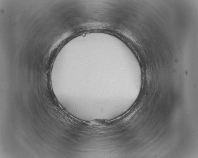 X0000069361309200606091551