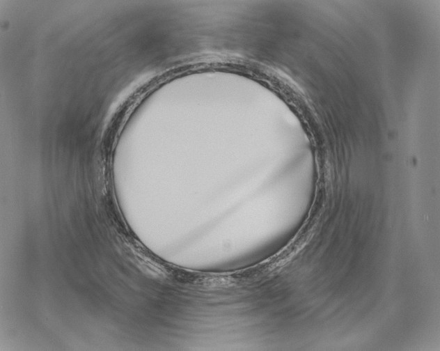 X0000069361310200606091551