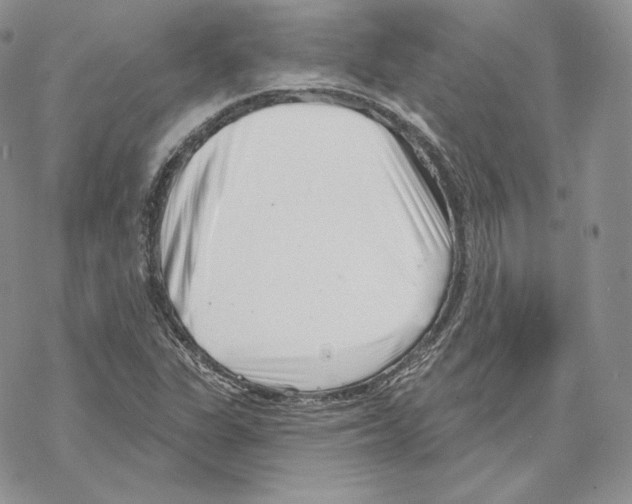 X0000069361311200606091551