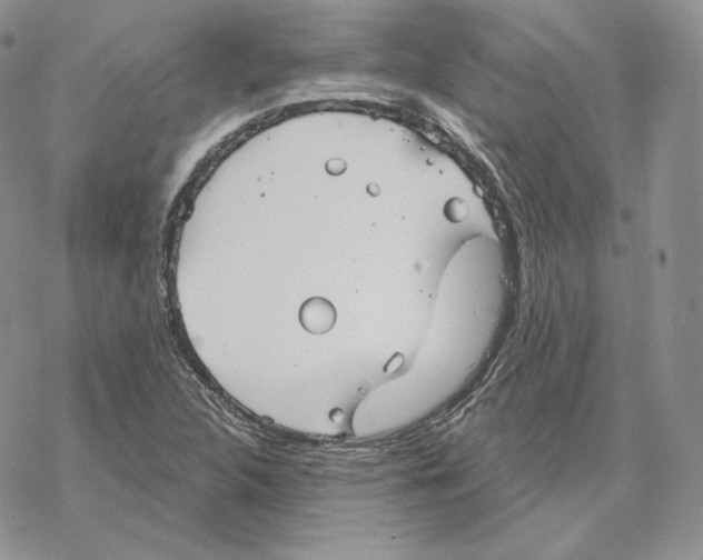 X0000069361312200606091551