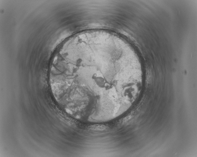 X0000069361314200606091551