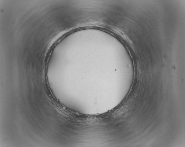 X0000069361316200606091551