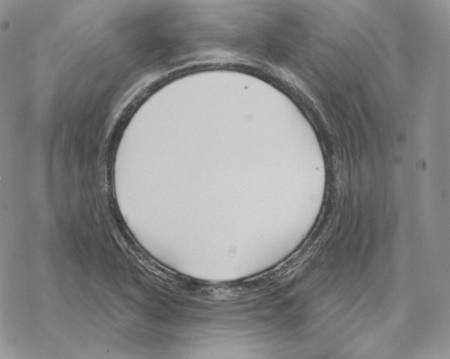 X0000069361318200606091551