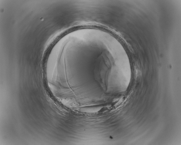 X0000069361319200606091551