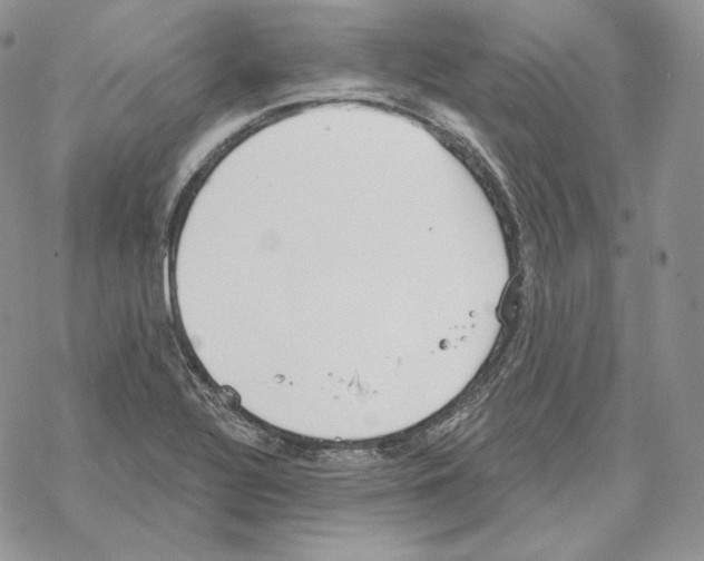 X0000069361320200606091551