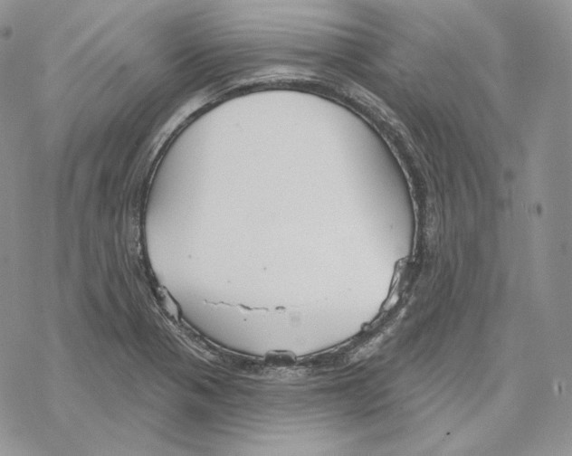 X0000069361321200606091551