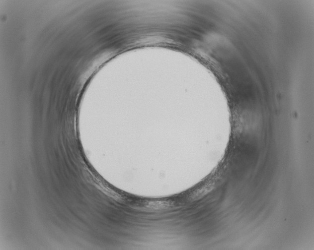 X0000069361322200606091551