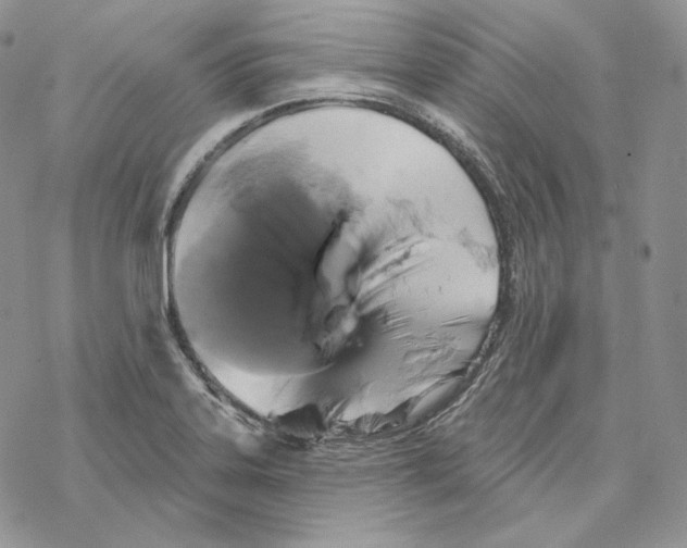 X0000069361323200606091551