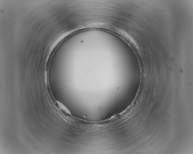 X0000069361324200606091551