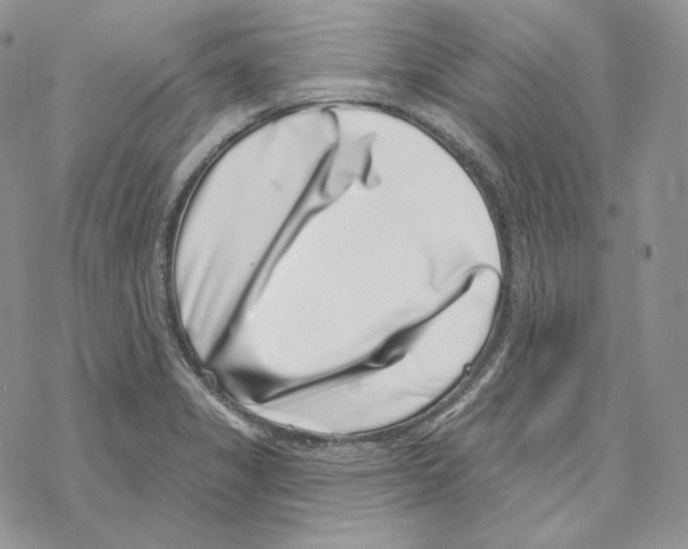 X0000069361325200606091551