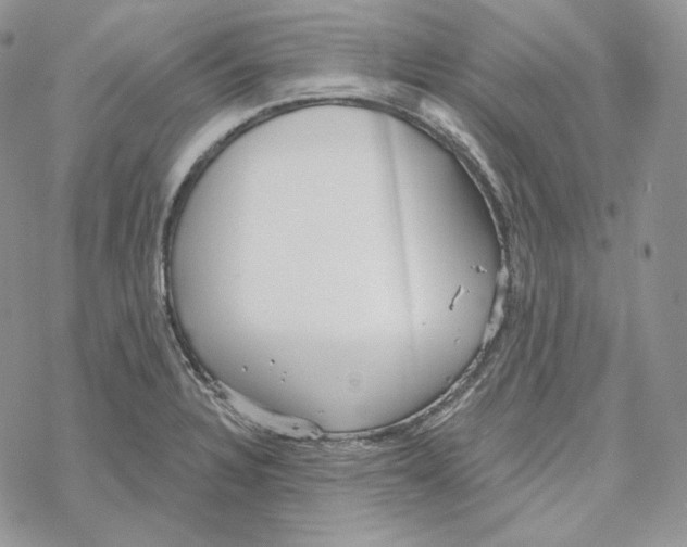 X0000069361328200606091551