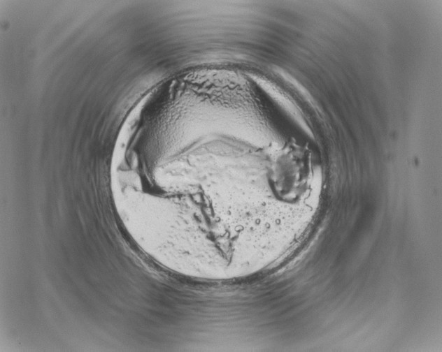 X0000069361329200606091551