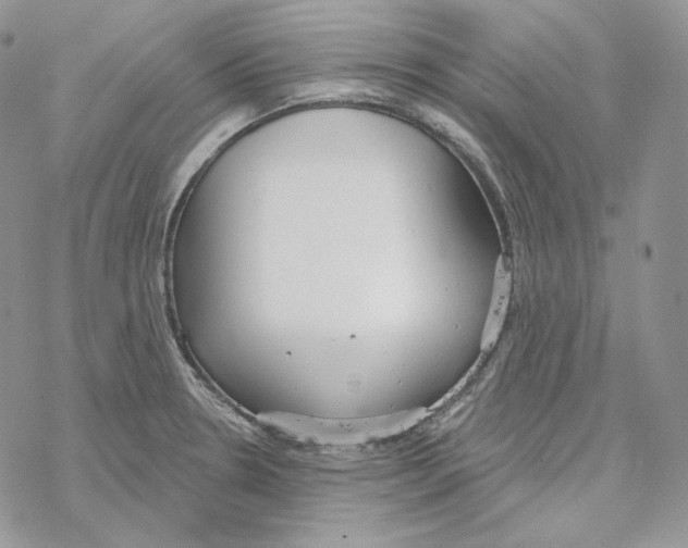 X0000069361330200606091551