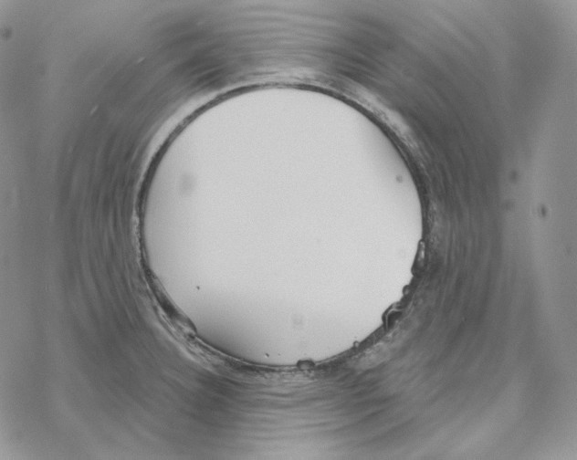 X0000069361332200606091551