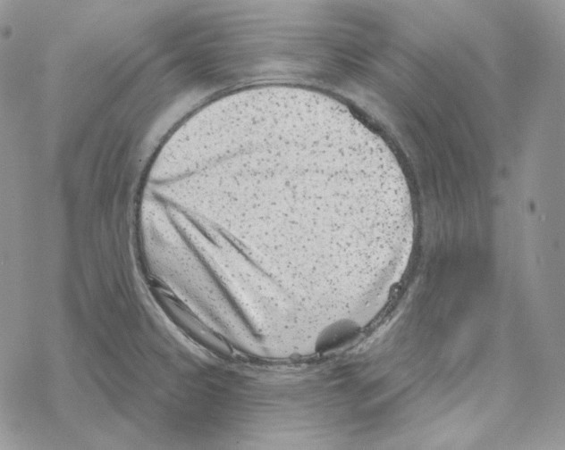 X0000069361333200606091551