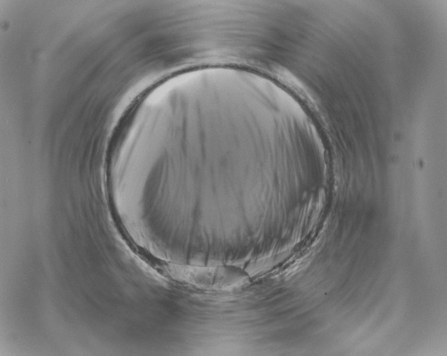 X0000069361334200606091551