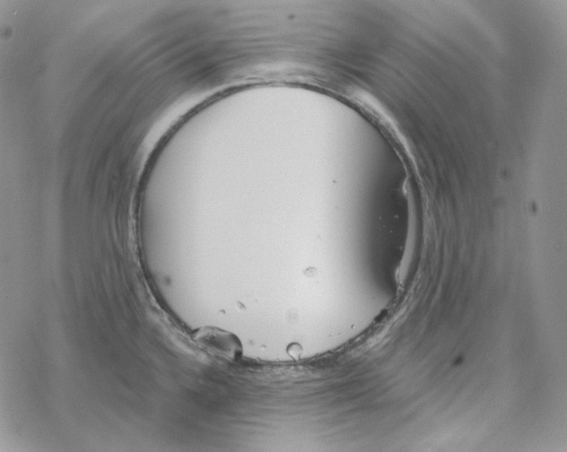 X0000069361336200606091551