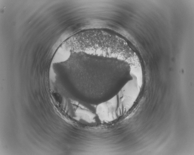 X0000069361337200606091551