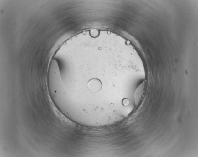 X0000069361338200606091551