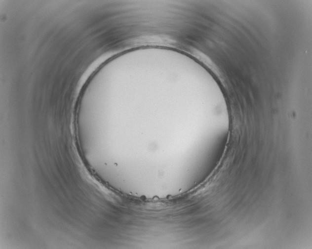 X0000069361339200606091551