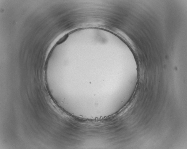 X0000069361340200606091551