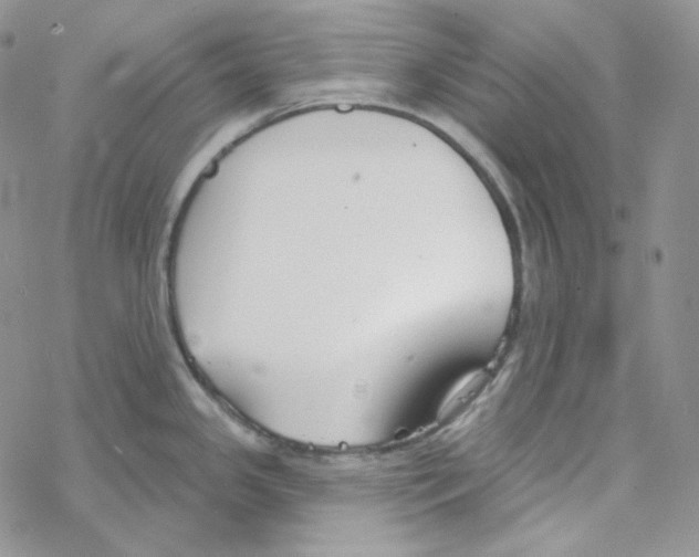 X0000069361341200606091551