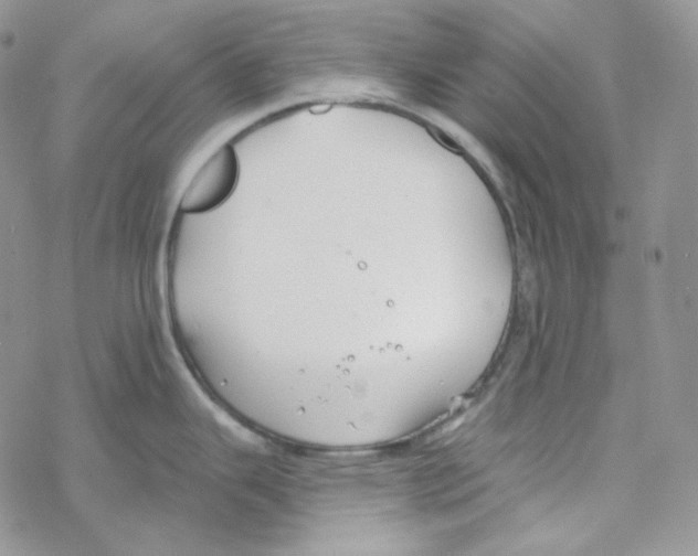 X0000069361343200606091551