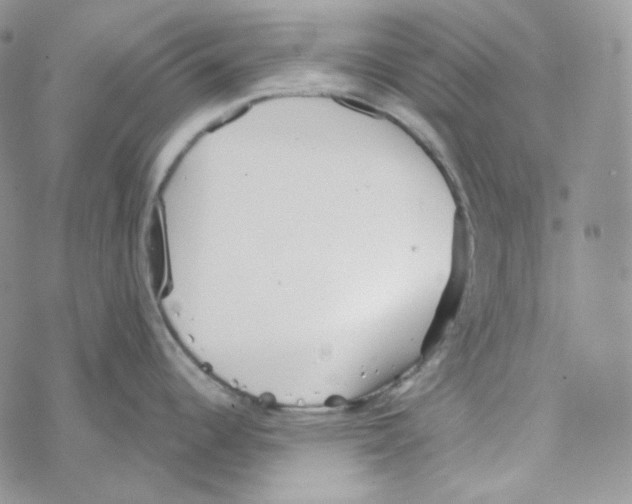 X0000069361344200606091551