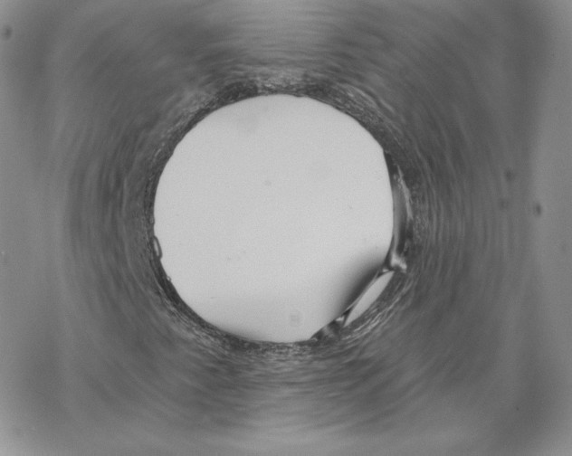 X0000069361345200606091551