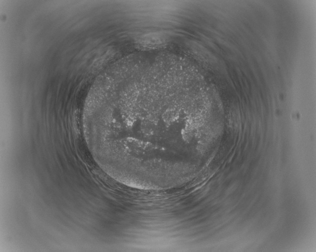 X0000069361346200606091551