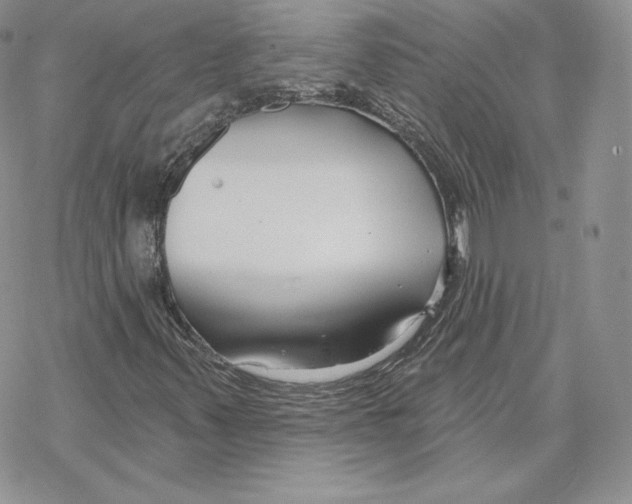 X0000069361347200606091551