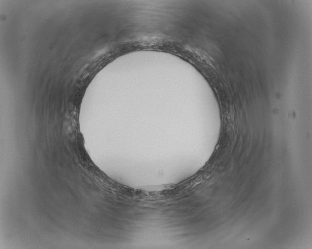 X0000069361349200606091551