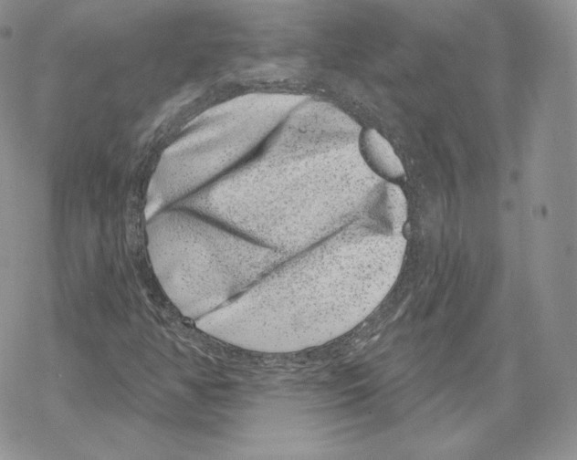 X0000069361350200606091551