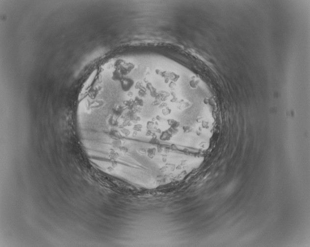 X0000069361351200606091551