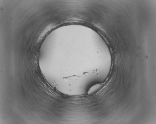 X0000069361355200606091550