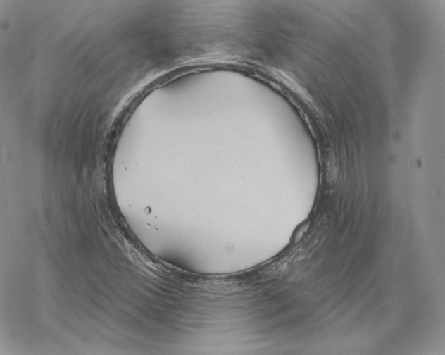 X0000069361356200606091550