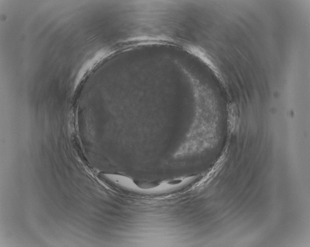 X0000069361357200606091550