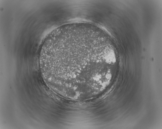 X0000069361358200606091550