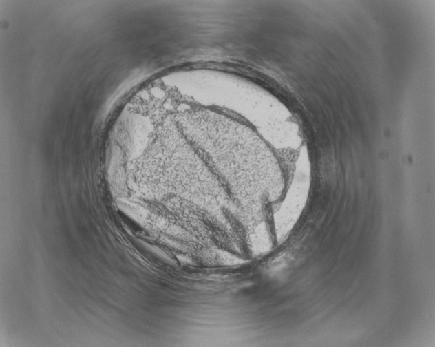 X0000069361359200606091550