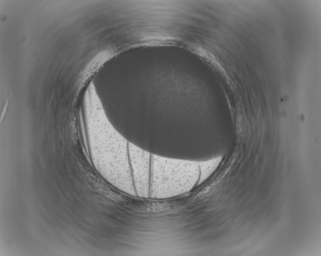 X0000069361362200606091550