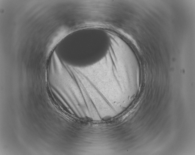 X0000069361365200606091550